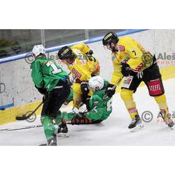 of SZ Olimpija in action during IceHL match between SZ Olimpija and Vienna Capitals in Ljubljana, Slovenia on January 21, 2022