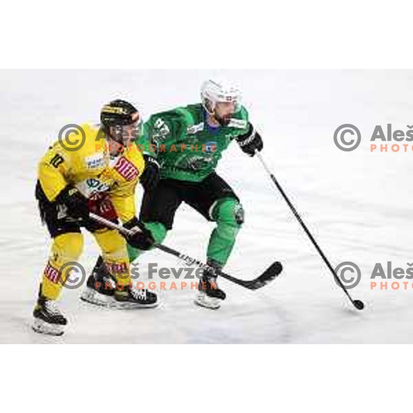 of SZ Olimpija in action during IceHL match between SZ Olimpija and Vienna Capitals in Ljubljana, Slovenia on January 21, 2022