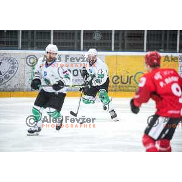 Gregor Koblar in action during semi-final of Slovenian ice-hockey league match between HDD Sij Acroni Jesenice and SZ Olimpija at Jesenice, Slovenia on January 25, 2021
