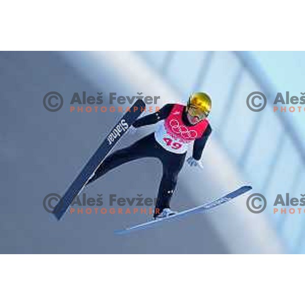 Anze Lanisek of Slovenia Men’s Ski jumping Olympic team during Qualification jump in Zhangjiakou venue of Beijing 2022 Winter Olympic Games, China on February 5, 2022