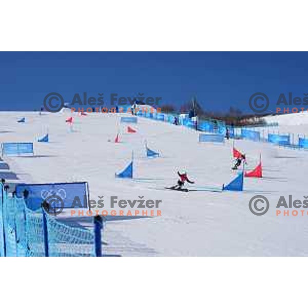Snowboard Parallel Giant Slalom in Zhangjiakou Genting Snow Park, Beijing 2022 Winter Olympic Games, China on February 8, 2022