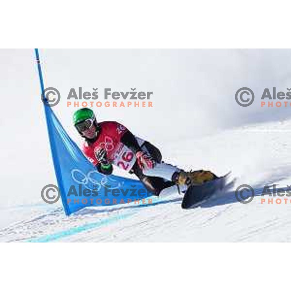 Rok Marguc (SLO) competes in Men\'s Snowboard Parallel Giant Slalom in Zhangjiakou Genting Snow Park, Beijing 2022 Winter Olympic Games, China on February 8, 2022