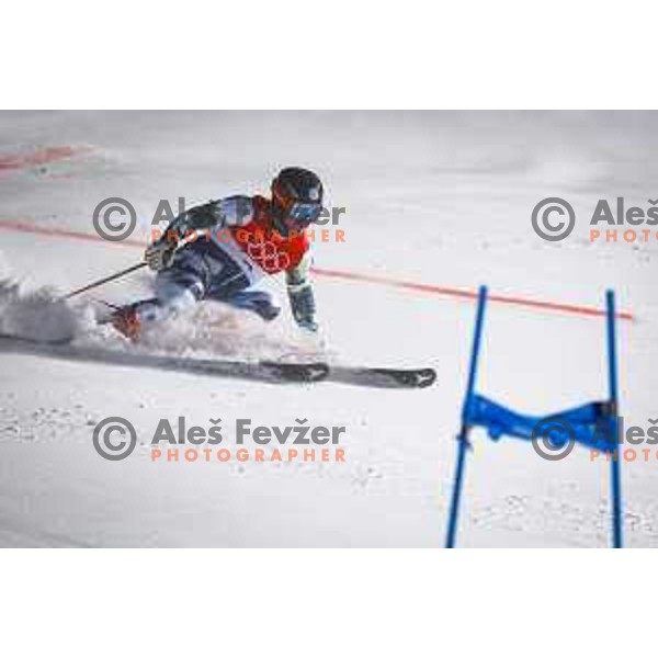 Miha Hrobat Of Slovenia competes in Mix Team Parallel race in Yanging National Alpine Centre, Beijing 2022 Winter Olympic Games, China on February 20, 2022