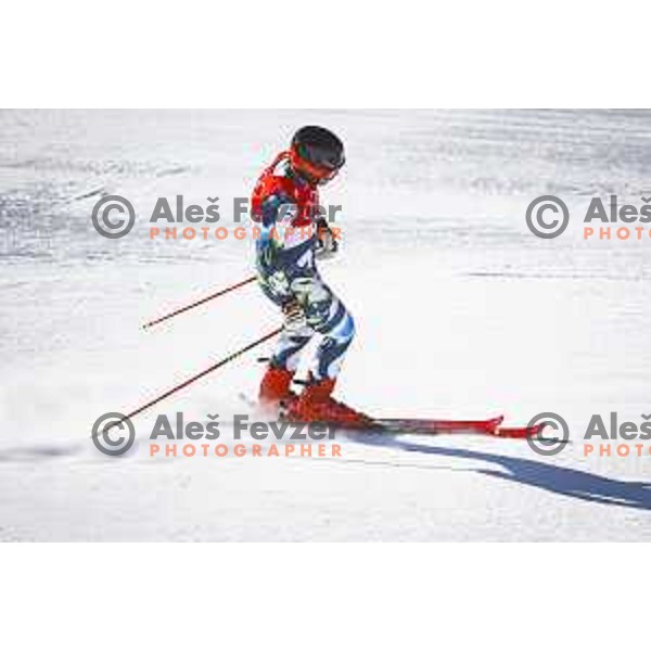 Miha Hrobat Of Slovenia competes in Mix Team Parallel race in Yanging National Alpine Centre, Beijing 2022 Winter Olympic Games, China on February 20, 2022