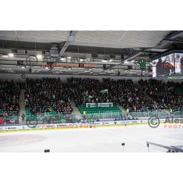 of SZ Olimpija in action during quarter-final of IceHL between SZ Olimpija and VSV in Ljubljana, Slovenia on March 11, 2022