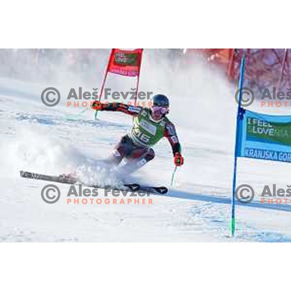 Lucas Braathen (NOR) skiing in the first run of AUDI FIS Ski World Cup Giant Slalom for 61.Vitranc Cup in Kranjska gora, Slovenia on March 12, 2022