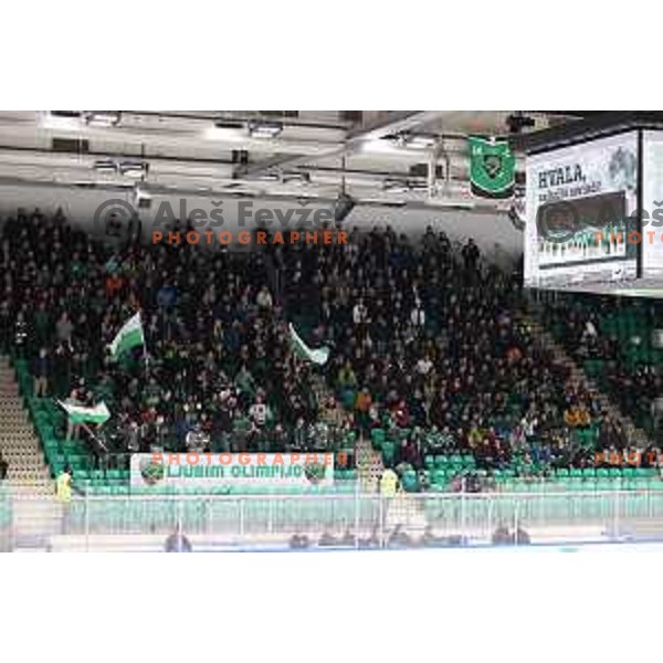 Fans of SZ Olimpija during IceHL quarter-final match between SZ Olimpija and VSV in Ljubljana, Slovenia on March 15, 2022