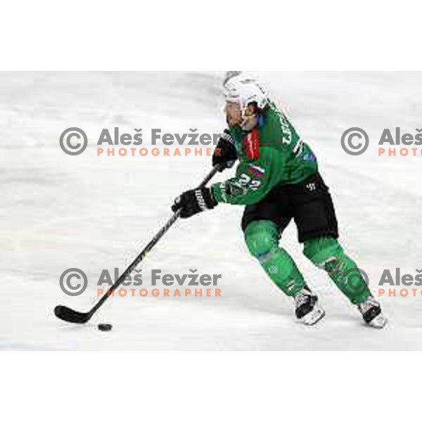 Guillaume Leclerc of SZ Olimpija in action during IceHL quarter-final match between SZ Olimpija and VSV in Ljubljana, Slovenia on March 15, 2022