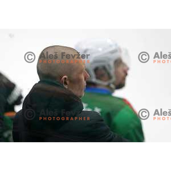 Head coach Mitja Sivic during IceHL quarter-final match between SZ Olimpija and VSV in Ljubljana, Slovenia on March 15, 2022