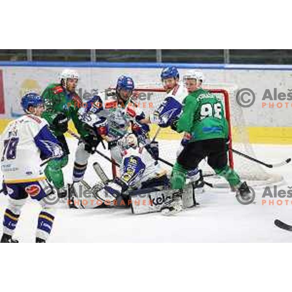 Alexander Schmidt and Blaz Tomazevic in action during IceHL quarter-final match between SZ Olimpija and VSV in Ljubljana, Slovenia on March 15, 2022