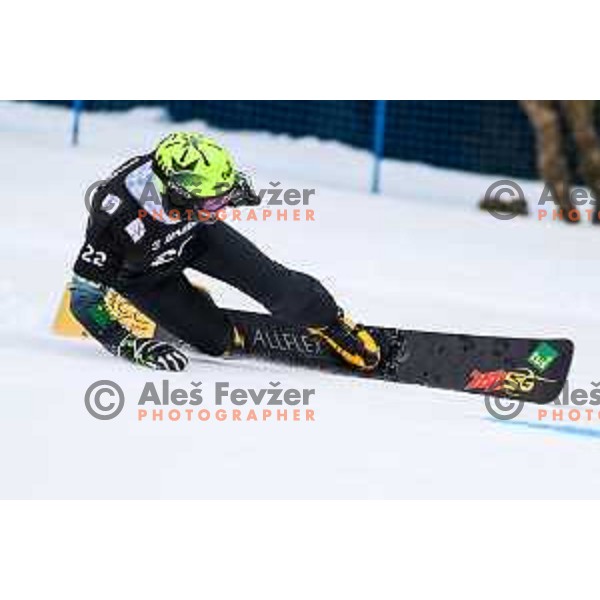 Tim Mastnak (SLO) competes at FIS Snowboard World Cup Parallel Giant Slalom at Rogla Ski resort, Slovenia on March 16, 2022