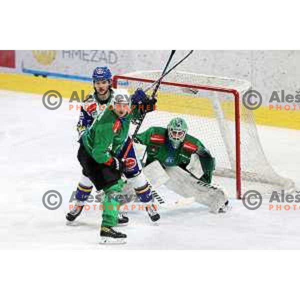 Zan Us during sixt game of quarter-final of IceHL between SZ Olimpija and VSV in Ljubljana, Slovenia on March 20, 2022