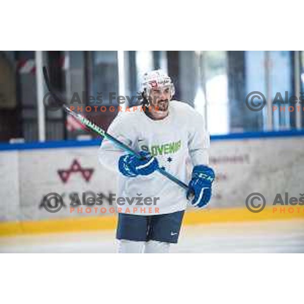 Slovenia ice-hockey team during practice session in Bled Ice Hall, Slovenia on April 11, 2022
