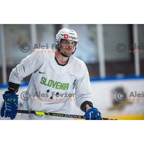 Slovenia ice-hockey team during practice session in Bled Ice Hall, Slovenia on April 11, 2022