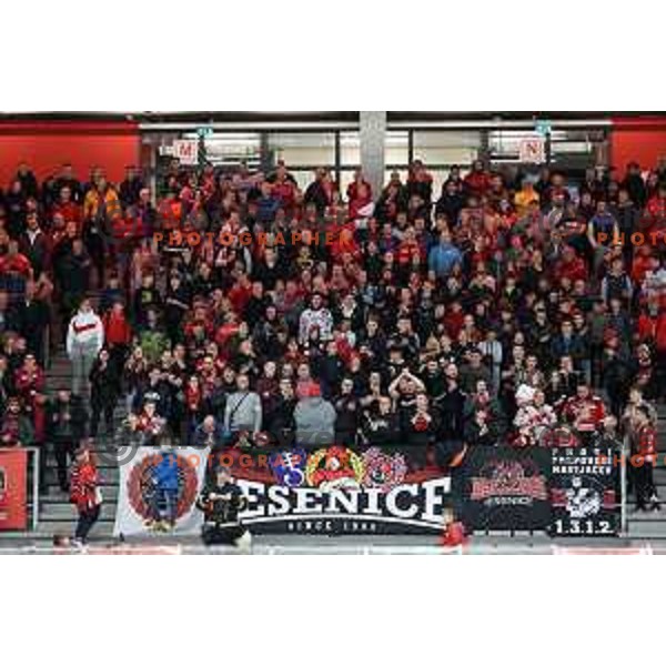 Fans of Jesenice during second game of the Final of Alps league ice-hockey match between Sij Acroni Jesenice (SLO) and Migross Asiago (ITA) in Podmezakla Hall, Jesenice on April 12, 2022