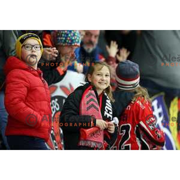 Fans of Jesenice during second game of the Final of Alps league ice-hockey match between Sij Acroni Jesenice (SLO) and Migross Asiago (ITA) in Podmezakla Hall, Jesenice on April 12, 2022