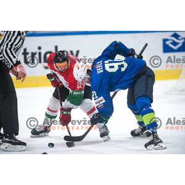 Miha Verlic in action during IIHF Ice-hockey World Championship 2022 division I group A match between Slovenia and Hungary in Ljubljana, Slovenia on May 6, 2022