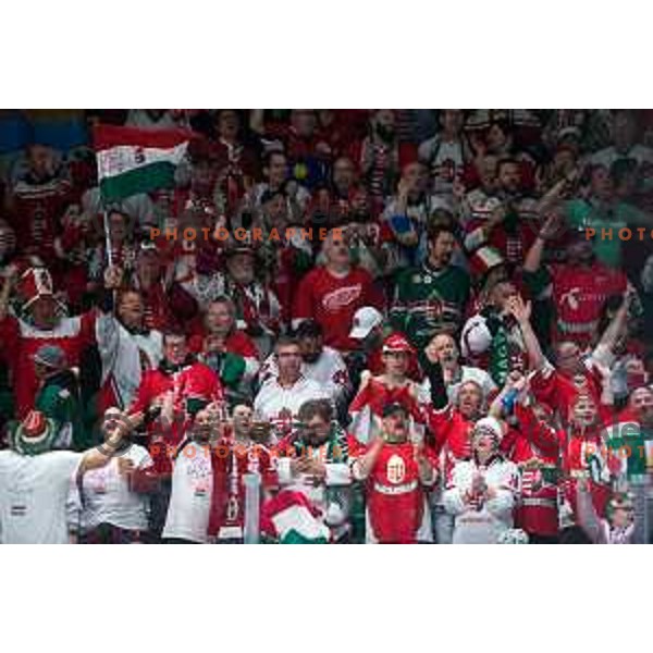 Hungarian fans in action during IIHF Ice-hockey World Championship 2022 division I group A match between Slovenia and Hungary in Ljubljana, Slovenia on May 6, 2022
