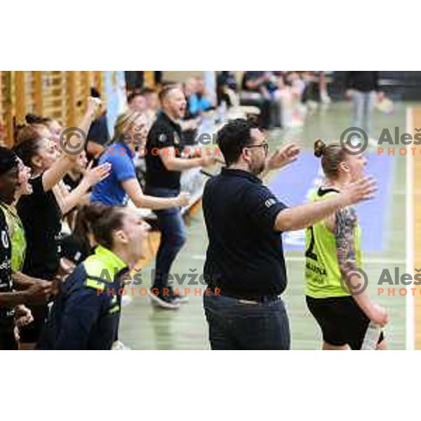 Head coach Damir Grgic in action during first game of the Final of 1.SKL league Women between Cinkarna Celje and Triglav in Celje, Slovenia on May 6, 2022
