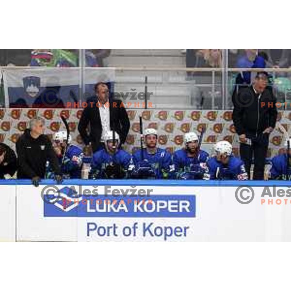 Tomaz Razingar and Matjaz Kopitar during IIHF Ice-hockey World Championship 2022 division I group A match between Slovenia and South Korea in Ljubljana, Slovenia on May 8, 2022