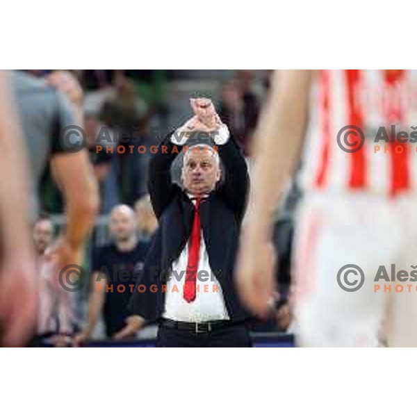 Dejan Radonjic, head coach of Crvena zvezda in action during second semi-final match of ABA league between Cedevita Olimpija and Crvena Zvezda in Stozice, Arena, Ljubljana, Slovenia on May 16, 2022