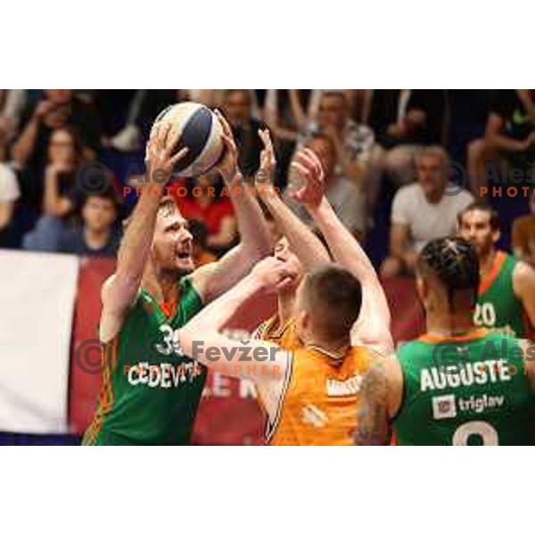 Zoran Dragic in action during Final of Nova KBM league first match between Helios Suns-Cedevita Olimpija in Domzale, Slovenia on May 25, 2022