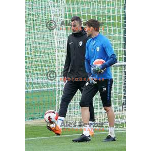Milivoje Novakovic, assistant coach of Slovenia Football team during practice session at NNC Brdo on May 30, 2022 