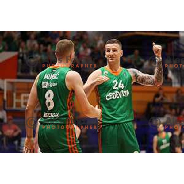 Alen Omic, MVP of the Final of Nova KBM league during third match between Helios Suns and Cedevita Olimpija in Domzale, Slovenia on May 31, 2022