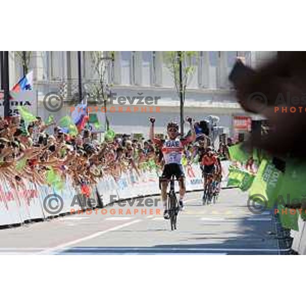 Rafal Majka (UAE), winner of first stage of professional cycling race Dirka po Sloveniji- Tour of Slovenia from Nova Gorica to Postojna on June 15, 2022