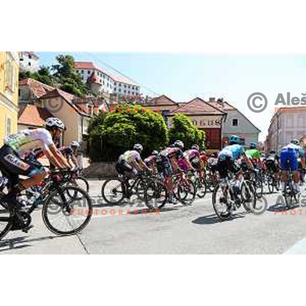 At second stage of professional cycling race Dirka po Sloveniji- Tour of Slovenia from Ptuj to Rogaska Slatina on June 16, 2022