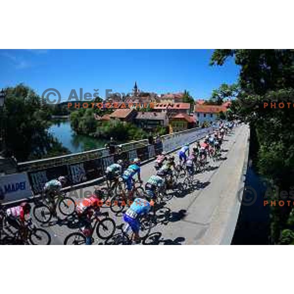 At fifth stage of professional cycling race Dirka po Sloveniji- Tour of Slovenia from Vrhnika to Novo Mesto on June 19, 2022
