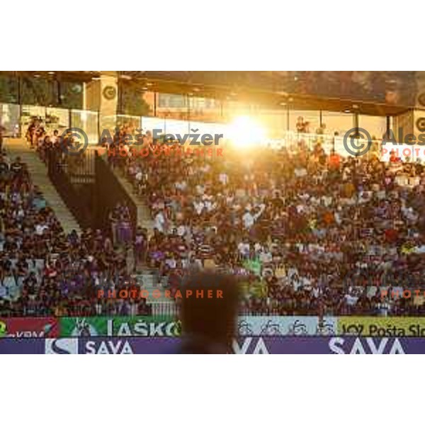 UEFA Champions League qualifier between Maribor (SLO) and Sheriff Tiraspol (MOL) in Ljudski vrt, Maribor, Slovenia on July 20, 2022