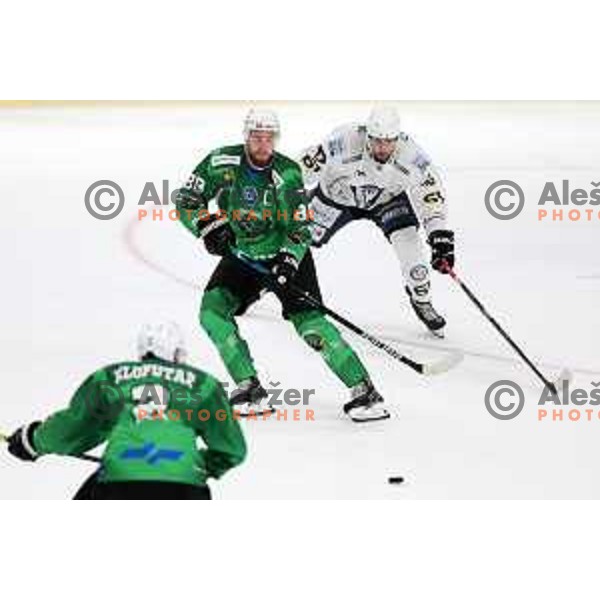Miha Zajc in action during preseason Ice hockey between SZ Olimpija (SLO) and MAC (HUN) in Tivoli Hall, Ljubljana