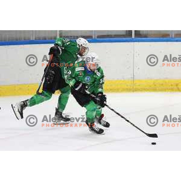 Nik Simsic in action during preseason Ice hockey between SZ Olimpija (SLO) and MAC (HUN) in Tivoli Hall, Ljubljana