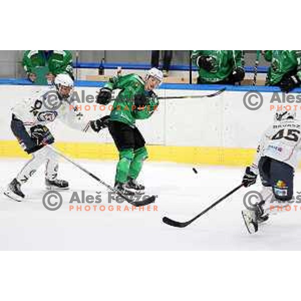 Chris Dodero in action during preseason Ice hockey match between SZ Olimpija (SLO) and MAC (HUN) in Tivoli Hall, Ljubljana on August 13, 2022