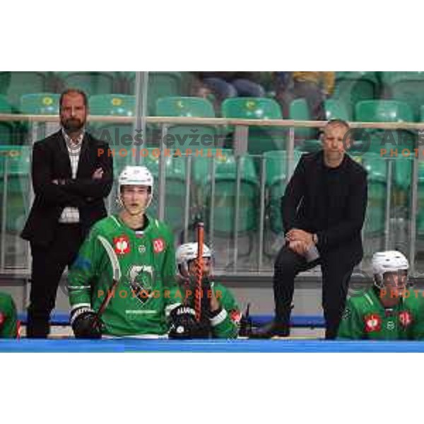 Mitja Sivic, head coach of SZ Olimpija during CHL Champions League ice-hockey match between SZ Olimpija (SLO) and Turku (FIN) in Tivoli Hall, Ljubljana, Slovenia on September 8, 2022