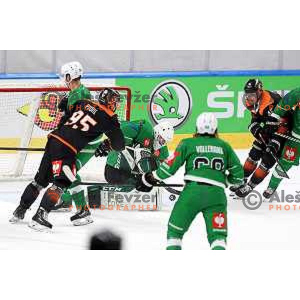 of SZ Olimpija during CHL Champions League ice-hockey match between SZ Olimpija (SLO) and Wolfsburg Grizzlies (GER) in Tivoli Hall, Ljubljana, Slovenia on September 10, 2022