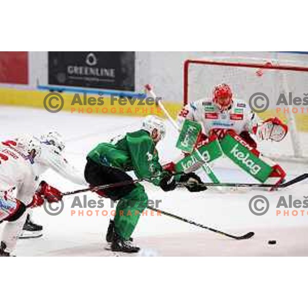 of SZ Olimpija during IceHL ice-hockey match between SZ Olimpija (SLO) and KAC (AUT) in Tivoli Hall, Ljubljana, Slovenia on September 25, 2022