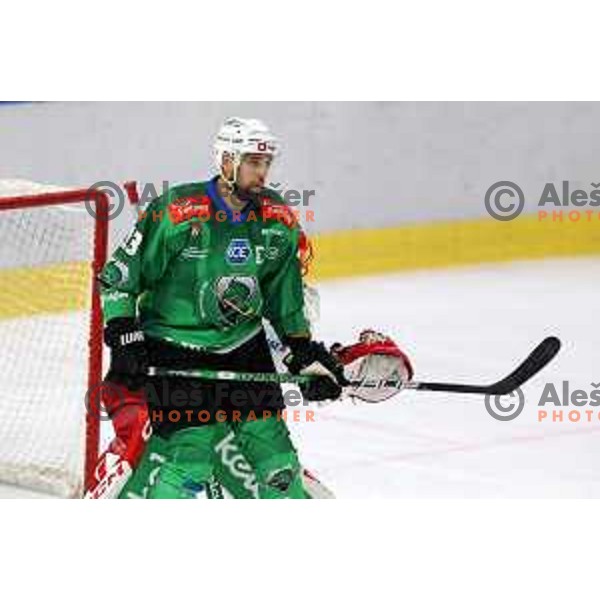 Ziga Pance of SZ Olimpija during IceHL ice-hockey match between SZ Olimpija (SLO) and KAC (AUT) in Tivoli Hall, Ljubljana, Slovenia on September 25, 2022