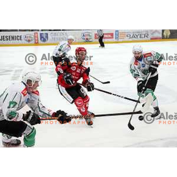 Erik Svetina and Carl Neill during the Slovenian ice-hockey Cup between SIJ Acroni Jesenice and SZ Olimpija in Podmezakla Hall, Jesenice, Slovenia on September 28, 2022