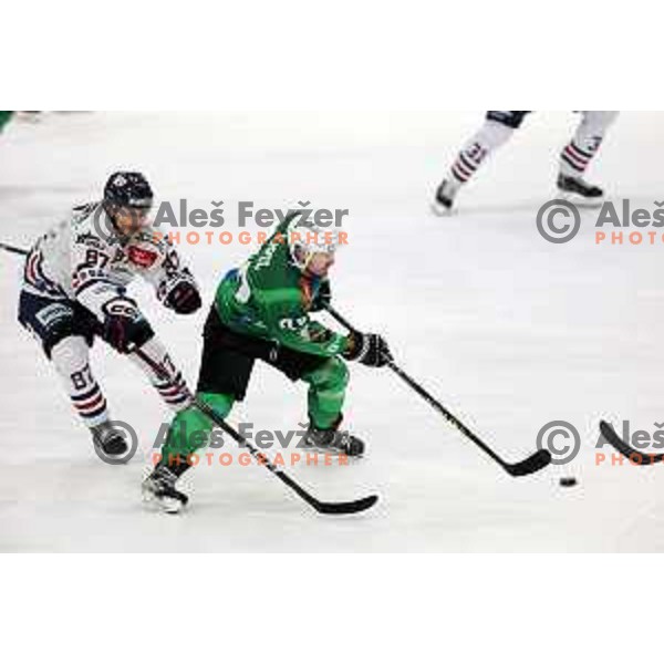 in action during IceHL regular season 2022-2023 ice-hockey match between SZ Olimpija (SLO) and Fehervar (HUN) in Tivoli Hall, Ljubljana, Slovenia on October 2, 2022