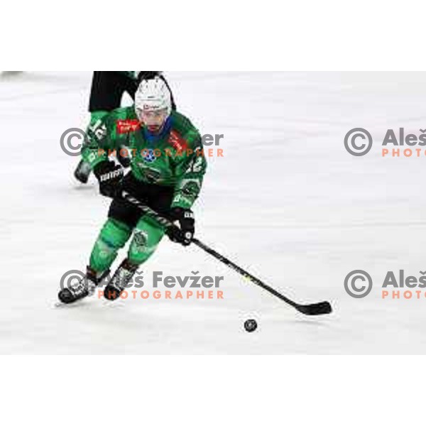 Nik Simsic in action during IceHL regular season 2022-2023 ice-hockey match between SZ Olimpija (SLO) and Fehervar (HUN) in Tivoli Hall, Ljubljana, Slovenia on October 2, 2022