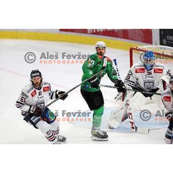 in action during IceHL regular season 2022-2023 ice-hockey match between SZ Olimpija (SLO) and Fehervar (HUN) in Tivoli Hall, Ljubljana, Slovenia on October 2, 2022
