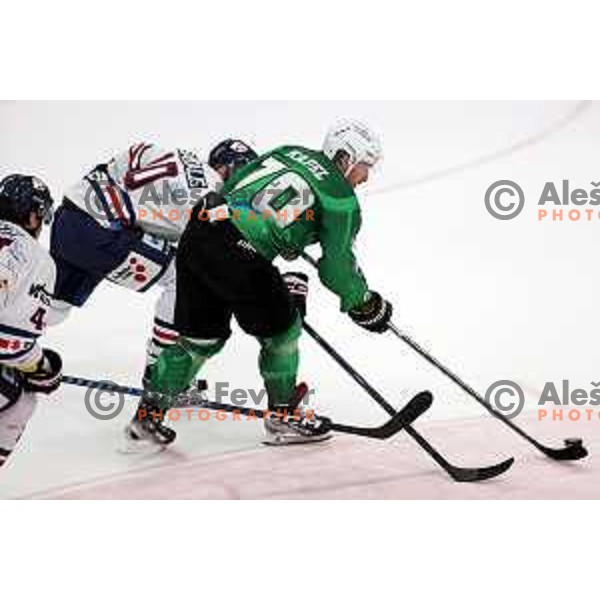 Rok Kapel in action during IceHL regular season 2022-2023 ice-hockey match between SZ Olimpija (SLO) and Fehervar (HUN) in Tivoli Hall, Ljubljana, Slovenia on October 2, 2022