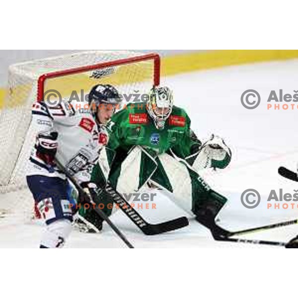 Anthony Morrone in action during IceHL regular season 2022-2023 ice-hockey match between SZ Olimpija (SLO) and Fehervar (HUN) in Tivoli Hall, Ljubljana, Slovenia on October 2, 2022