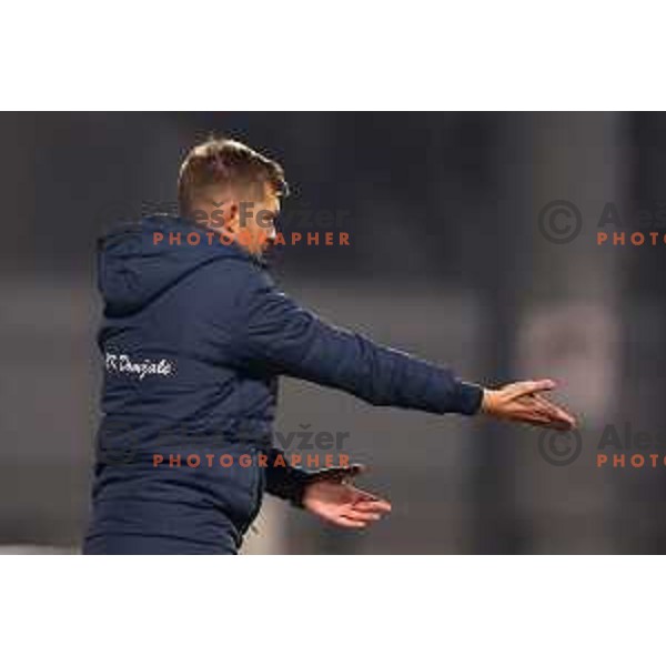 Head coach Simon Rozman during Prva Liga Telemach 2022-2023 football match between Domzale and Bravo in Domzale, Slovenia on October 14, 2022