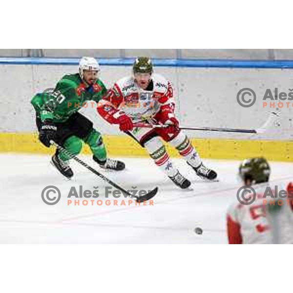 Gregor Koblar of SZ Olimpija during IceHL ice-hockey match between SZ Olimpija (SLO) and Bolzano Sudtirol Alperia (ITA) in Tivoli Hall, Ljubljana, Slovenia on October 16, 2022
