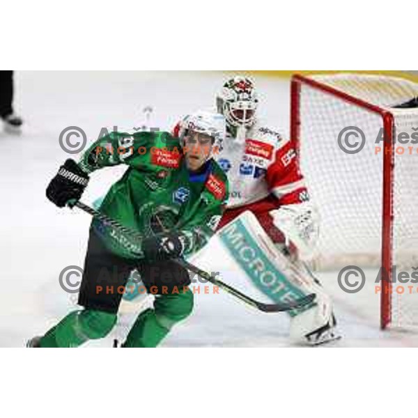 Tadej Cimzar of SZ Olimpija during IceHL ice-hockey match between SZ Olimpija (SLO) and Bolzano Sudtirol Alperia (ITA) in Tivoli Hall, Ljubljana, Slovenia on October 16, 2022
