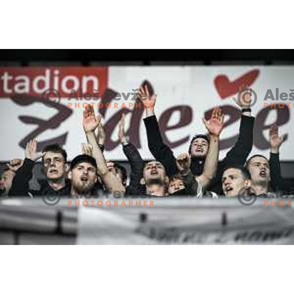 Fans of Celje during Prva liga Telemach football match between Celje and Maribor in Arena z’dezele, Celje, Slovenia on October 29, 2022. Photo: Jure Banfi