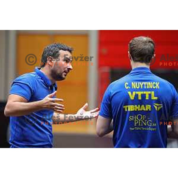 Bojan Tokic, coach of team Belgium during qualifying first day for World Table tennis Contender Nova Gorica, Slovenia on October 31, 2022